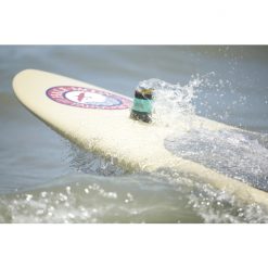 Other Toadfish Outfitters Non-Tipping Stainless Steel Can Cooler/Stubby Cooler -Tackle Storage store TFCCOOLER WHITE 5